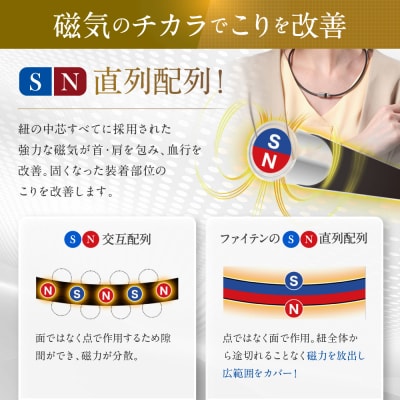 【ファイテン】RAKUWA磁気ネックレス ローレット(管理医療機器)シルバー/ブラック<50cm>