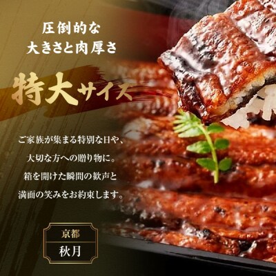 【秋月】でしこうなぎ蒲焼き 約150g×2尾|京都 うなぎ 人気セット 贅沢 グルメ おすすめ