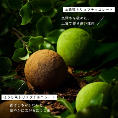 【TREEE’S】お濃茶・ほうじ茶トリュフチョコレート 各3個|京都 スイーツ ブランド 