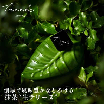 【TREEE’S】抹茶テリーフ|京都 スイーツ ブランド 人気 抹茶スイーツ