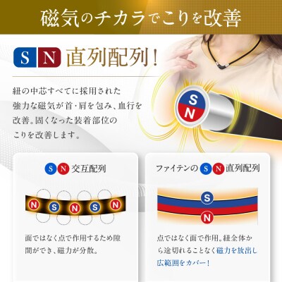 【ファイテン】RAKUWA磁気チタンネックレス Vタイプ(管理医療機器)ブラック<50cm>