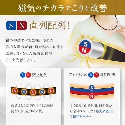 【ファイテン】RAKUWA磁気チタンネックレス(管理医療機器)メタルブラック<45cm>