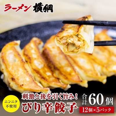 【ラーメン横綱】ニンニク不使用! ぴり辛餃子 5パック60個 京都 有名店 餃子 大人気セット