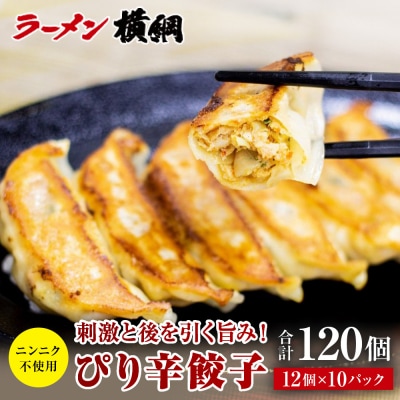 【ラーメン横綱】ニンニク不使用! ぴり辛餃子 10パック120個 京都 有名店 餃子 大人気セット