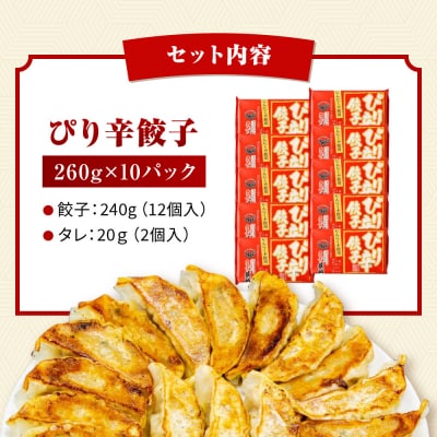 【ラーメン横綱】ニンニク不使用! ぴり辛餃子 10パック120個 京都 有名店 餃子 大人気セット
