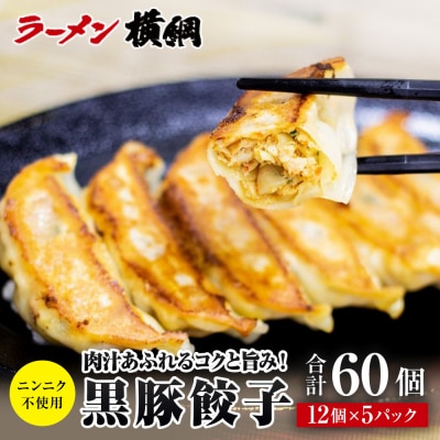 【ラーメン横綱】ニンニク不使用! 黒豚餃子 5パック60個 京都 有名店 餃子 大人気セット