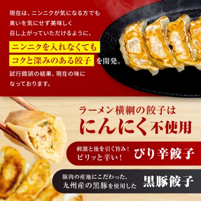 【ラーメン横綱】ニンニク不使用! 黒豚餃子 5パック60個 京都 有名店 餃子 大人気セット