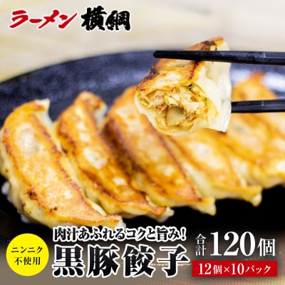 【ラーメン横綱】ニンニク不使用! 黒豚餃子 10パック120個 京都 有名店 餃子 大人気セット