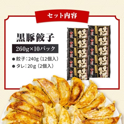 【ラーメン横綱】ニンニク不使用! 黒豚餃子 10パック120個 京都 有名店 餃子 大人気セット