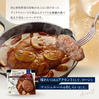 神戸開花亭 芳醇煮込みのハンバーグ 220g×4袋|京都 有名店 ハンバーグ 人気セット
