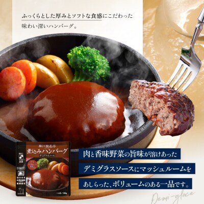 神戸開花亭 煮込みハンバーグ 3種10袋セット|京都 有名店 ハンバーグ 人気