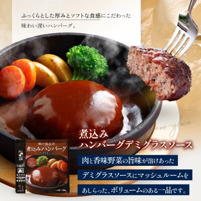 神戸開花亭 煮込みハンバーグ3種 カレー シチュー 5袋セット|京都 有名店 洋食 人気セット