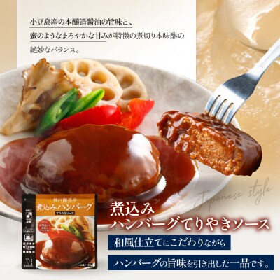 神戸開花亭 煮込みハンバーグ3種 カレー シチュー 5袋セット|京都 有名店 洋食 人気セット