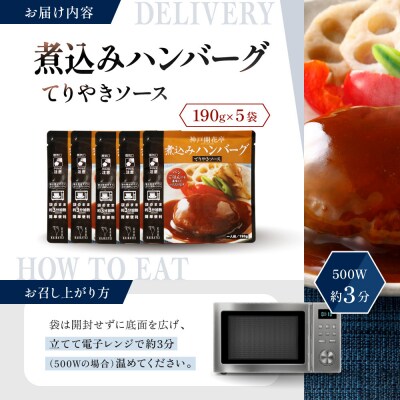 神戸開花亭 煮込みハンバーグ てりやきソース 190g×5袋|京都 有名店 ハンバーグ 人気セット