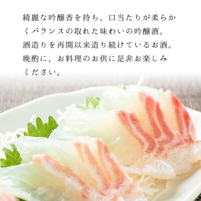 【藤岡酒造】蒼空 純米吟醸酒・山田錦 500ml 1本|伏見 純米吟醸酒 人気