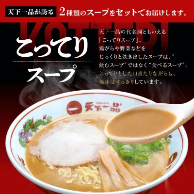 【天下一品】家麺 ミックス2食セット<チャーシュー・メンマ・鉢2枚付き>(B-JB45)