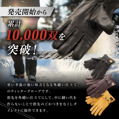 デグナー ウィンターグローブ ブラック M 京都 バイクギア 人気ブランド グローブ [WG-12]