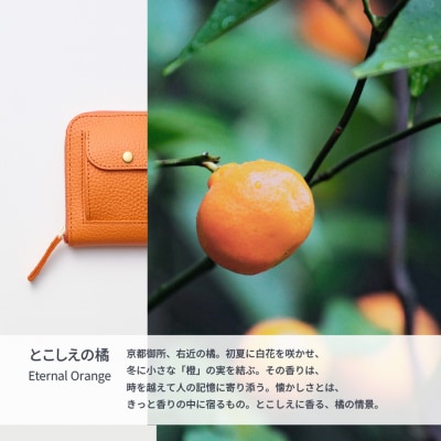 SMART MOVE! type2 Eternal Orange|とこしえの橘(オレンジ)