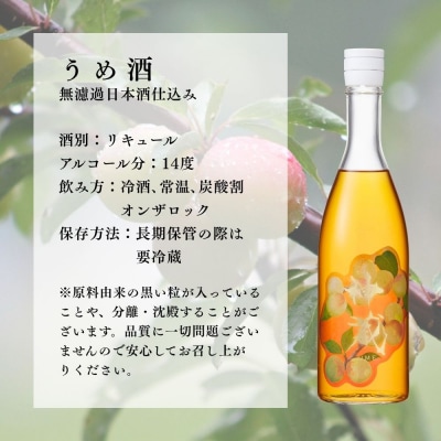 【松井酒造】梅酒 神蔵 蜜號 710ml|京都 人気ブランド 日本酒仕込み 梅酒 リキュール