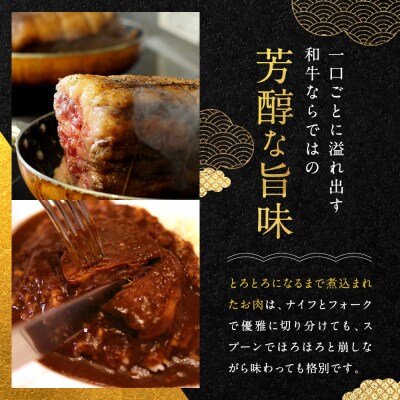 【銀閣寺大西】京の贅沢ビーフカレー 250g×5個|京都 老舗 有名店 カレー人気