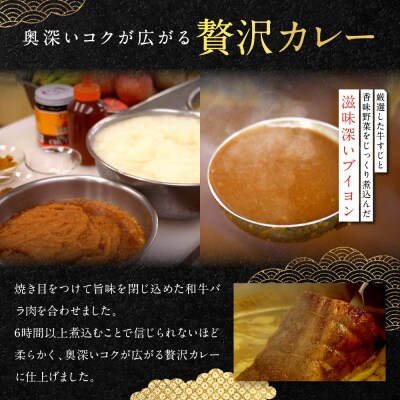 【銀閣寺大西】京の贅沢ビーフカレー 250g×3個|京都 老舗 有名店 カレー 人気