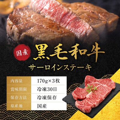 【銀閣寺大西】国産黒毛和牛サーロインステーキ170g×3枚|京都 老舗 有名店 ステーキ 人気
