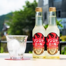 生姜を使った燃焼系炭酸飲料!ノンジャーエール 6本セット