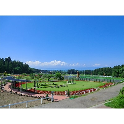 ホテルリステル猪苗代ウイングタワー　「猪苗代湖・磐梯山」を一望　ペア宿泊券(1泊2日/夕食・朝食付)