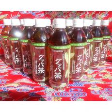 グァバ茶ペットボトル500ml(24本入り 1ケース)