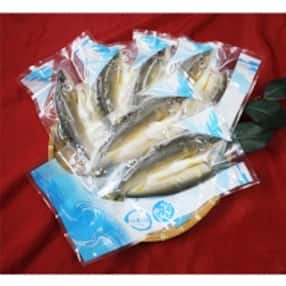 干物 四国地方のお礼品 返礼品一覧 ふるさと納税サイト さとふる