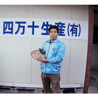 【2022年7月下旬発送】四万十鮎一夜干しセット　Ess-02
