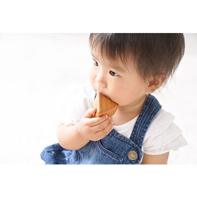 皇室ご愛用品 木のおもちゃ 赤ちゃんの積み木スペシャル