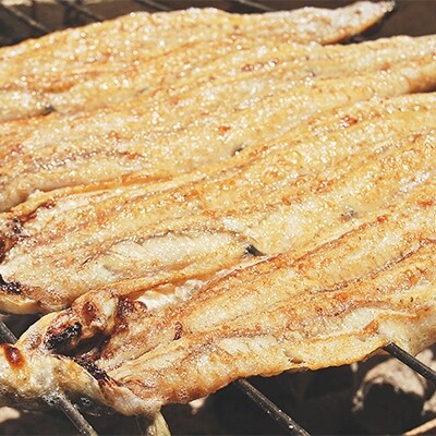 【紀州職人焼】　一串ずつ丁寧に焼き上げた　国産炭火蒲焼2尾白焼き1尾 | ふるさと納税のお礼品