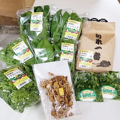 四條畷産・大阪産(おおさかもん)野菜4～6品目とお米3kgの詰め合わせ