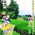 宮崎茶房の有機釜炒り茶セット(特撰・中級)