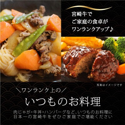 宮崎牛こま肉&ミンチセット　合計1kg(こま肉400g・ミンチ600g)(五ヶ瀬町)