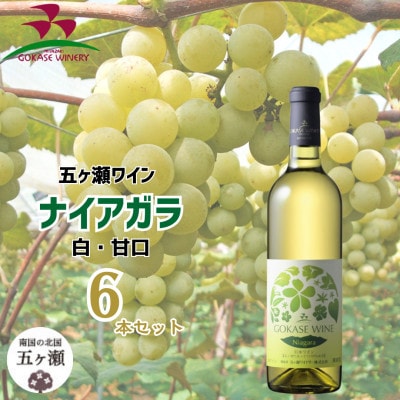 Amazon.co.jp: ナイアガラ葡萄フルーティーでフレッシュな風味