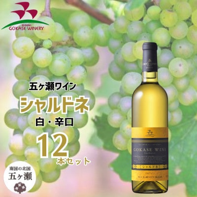 五ヶ瀬 ワイン シャルドネ( 白 ・ 辛口 )12本セット 【五ヶ瀬ワイナリー】