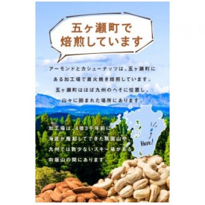 南国焙煎 フルーティー ミックスナッツ　1.4kg(700g×2袋)