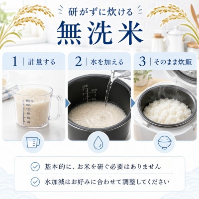新米【大好評出荷中】令和8年産 宮崎県産こしひかり 10kg 無洗米