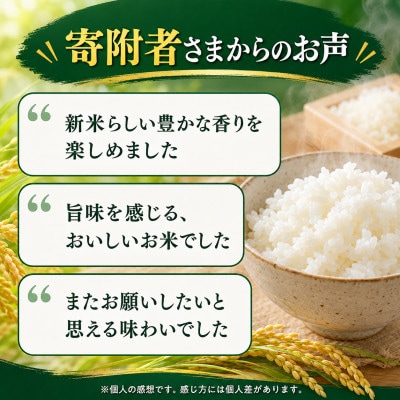 新米【大好評出荷中】令和8年産 宮崎県産こしひかり 10kg 無洗米