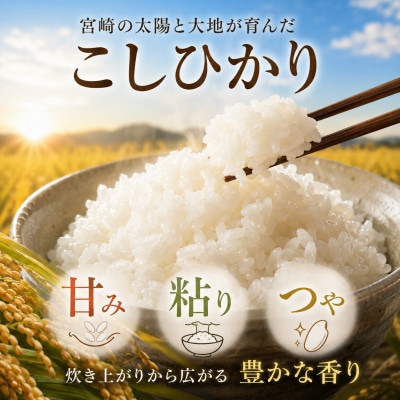 新米【大好評出荷中】令和8年産 宮崎県産こしひかり 20kg 無洗米