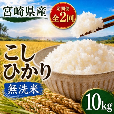 【毎月定期便】宮崎県産　こしひかり 無洗米  10kg全2回