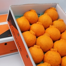 五代目デコ3kg(10玉～12玉) | ふるさと納税のお礼品