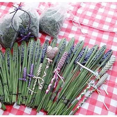 かわ【クール便送料込み❗️】ラベンダーグロッソ生花 切花 大量600本 メルカリ便送料込み❗️】ラベンダーグロッソ生花 切花 大量300