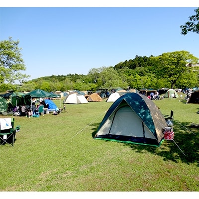 茨城町涸沼自然公園キャンプ場(AC電源付きのオートサイト)利用券　1区画
