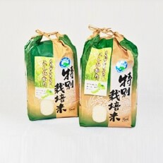 【10月末からのお届け】特別栽培米コシヒカリ5kg×2(無洗米)
