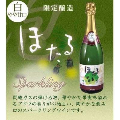 FU19 くずまきワイン 2本 と くずまき高原牧場 ヨーグルト 2種 プリン 12個 詰め合わせ