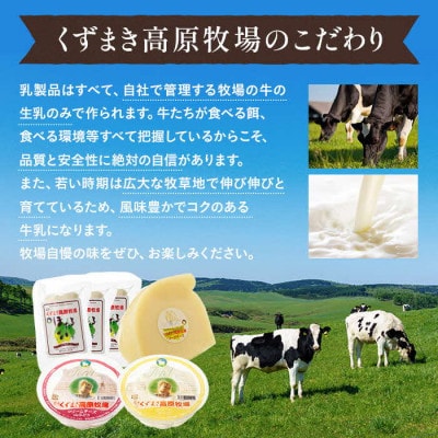 【毎月定期便】くずまき高原牧場　チーズ 全2回
