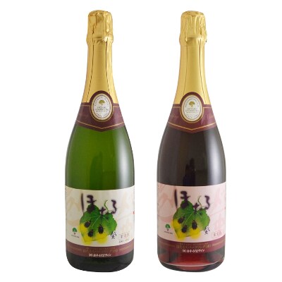 スパークリングワイン赤白2本セット お礼品詳細 ふるさと納税なら さとふる スパークリングワイン赤白2本セット お礼品詳細 ふるさと納税なら さとふる
